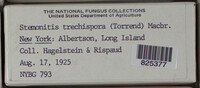 Image Associated With the Occurence